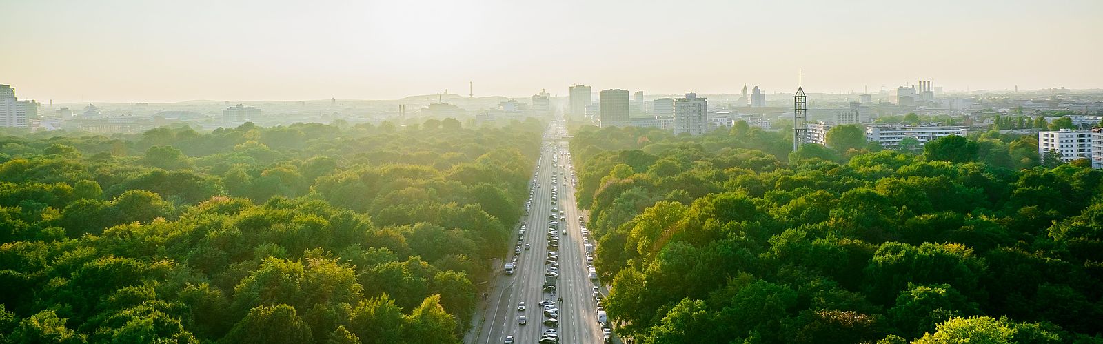 Aerial view of highway admidst trees